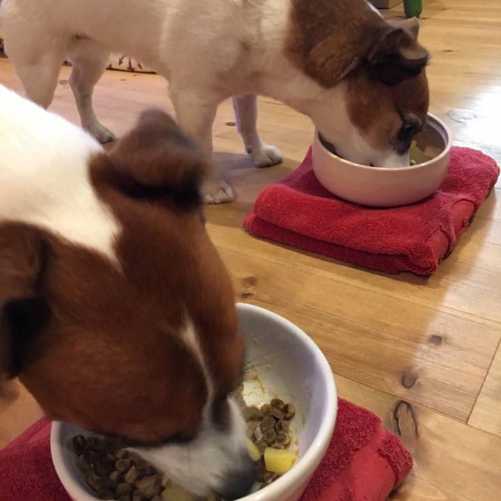 176adaab 7e49 490f 8a8f 9e0437fe0925 1509278469228