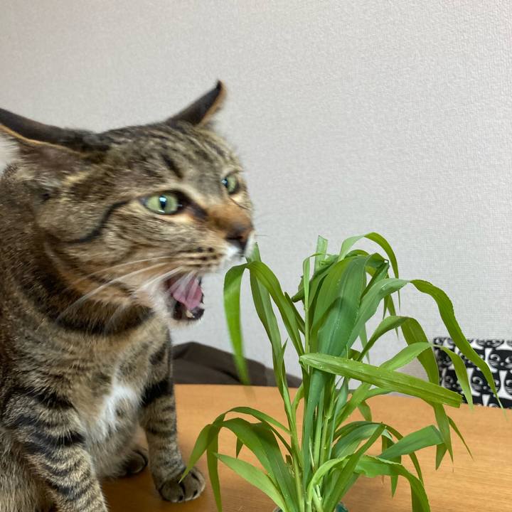 176adfac ce6b 45da b161 87d37edaa5d6 1627284588488