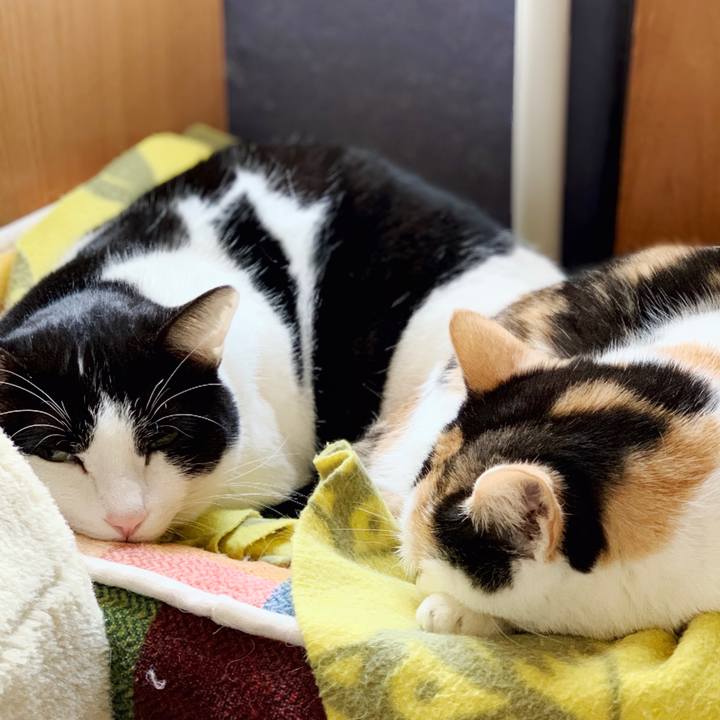 176b11c4 957f 4d0f 86db 7567bc4c3abb 1552788893342