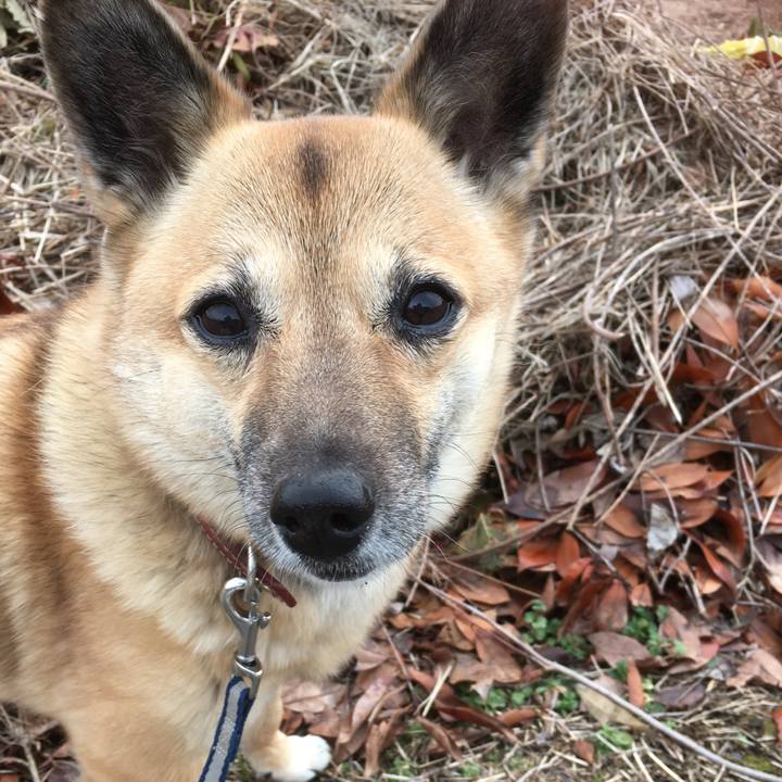 176b21a0 e769 48ea ac33 422f2242b503 1515113177226