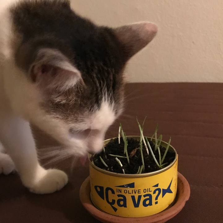 176b3309 d9bf 4811 a97d 785c16060c67 1516031124769