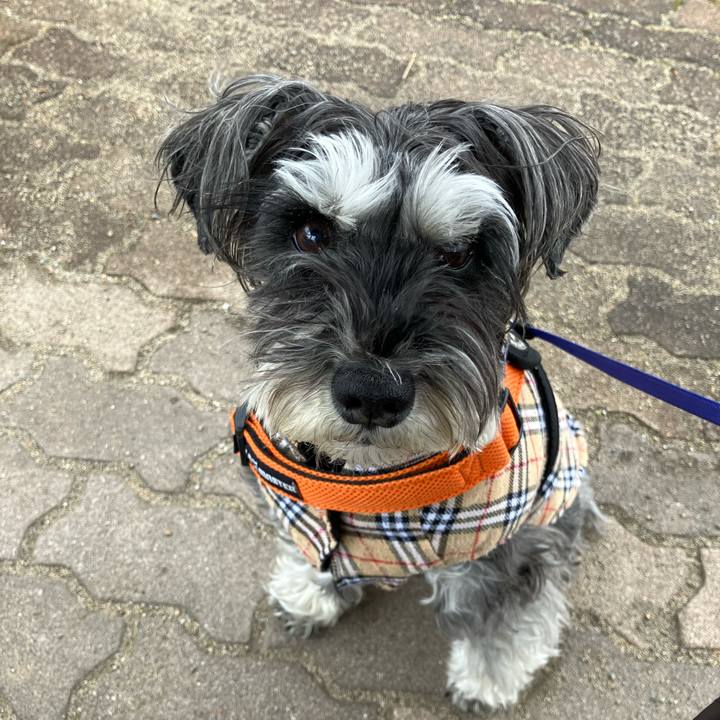 176b39b9 15d4 483c 8793 ce680d3b9a7a 1710905912229