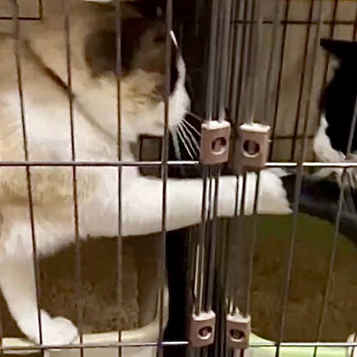 176b3c67 39e0 457a 99b7 91ac41981f83 1742816911369