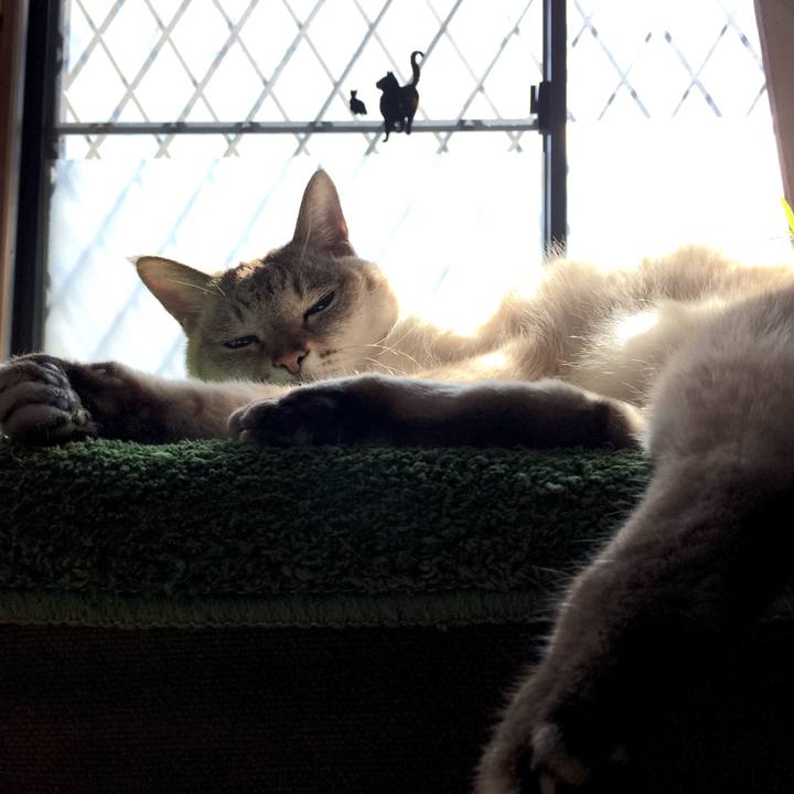 176b4ccf 8c0a 4367 861b 9be3140c8c57 1581651989220