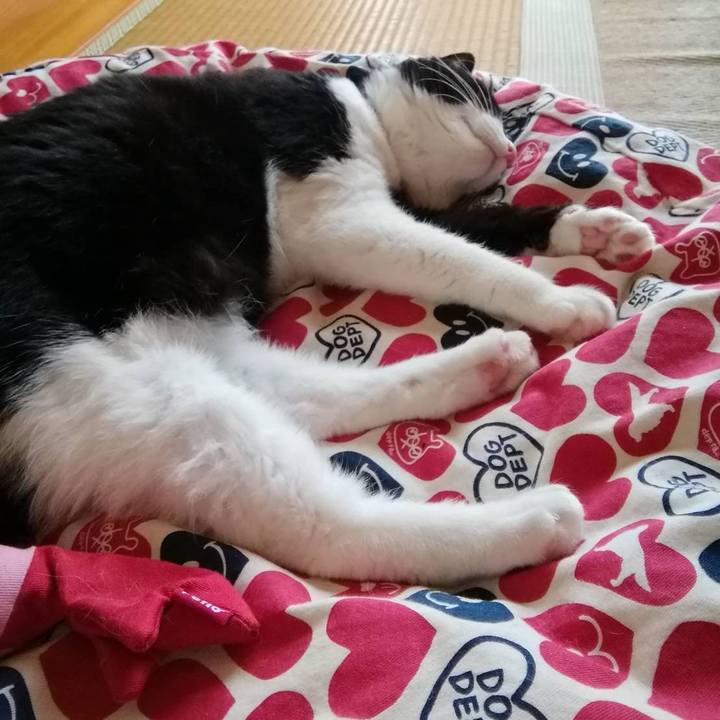 176b512b 51c5 4f76 b6dc f30338b64703 1562856713988