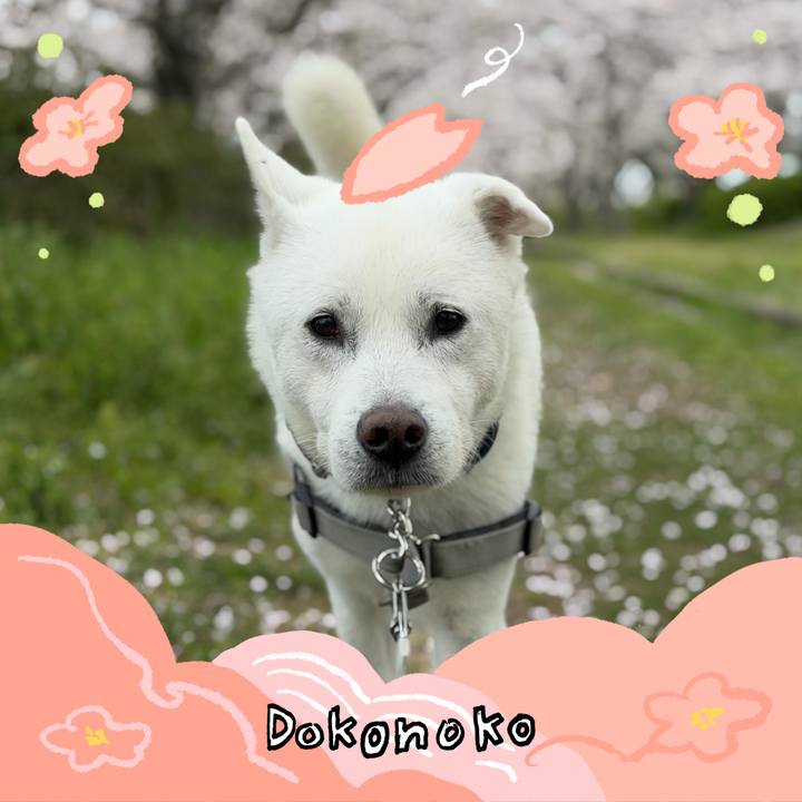 176b6740 17cc 434e 8566 696837027cf6 1775428603083