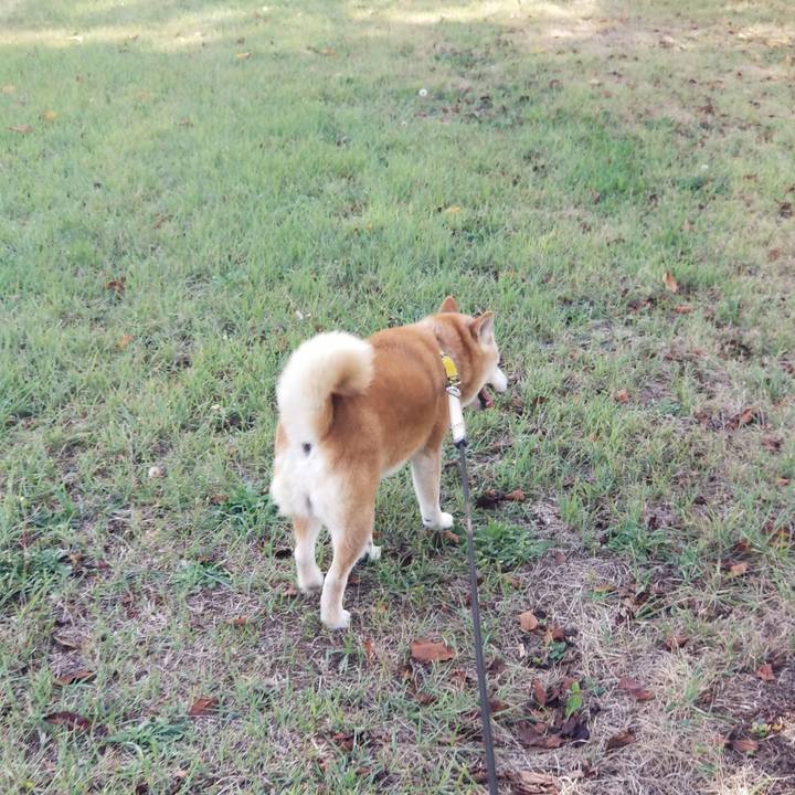 176b6e8a c822 4dcb a613 5b95980c6de0 1693204779398