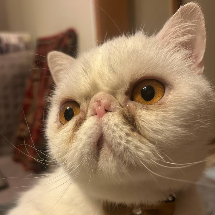 176b7785 317c 4b3d b335 737e2df6b095 1741866033970