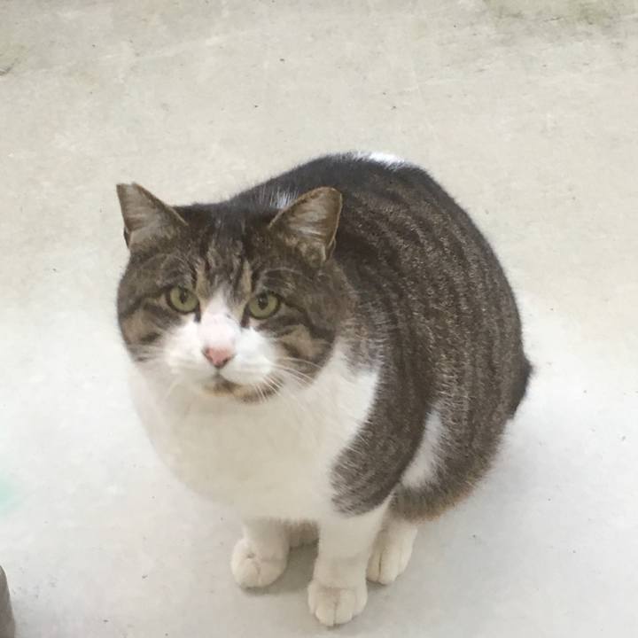 176b80a4 96bb 453f 897f 1f2583c75a16 1513289968923