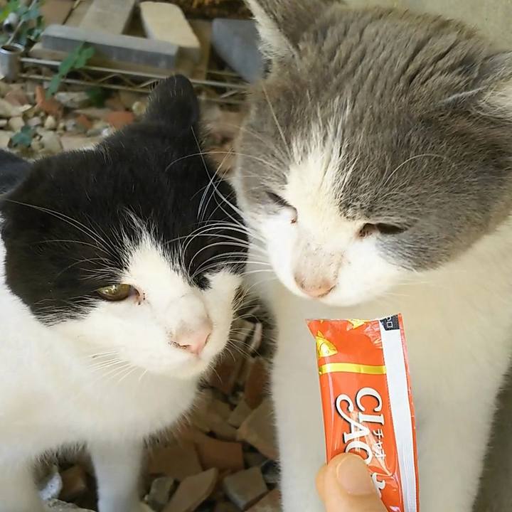 176b80a5 1e78 41b3 82c9 bf6aa3276644 1556770943682