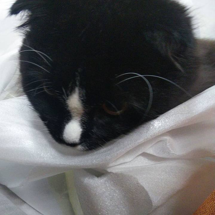 176b99ab 2bc0 42bd b191 0e3e55819dc5 1656589585398