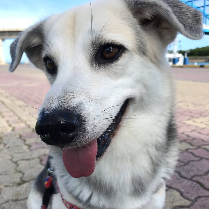 176bc7c8 b205 4614 a82e ce452398e35f 1559887537411