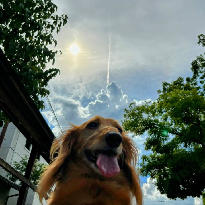 176bc93a e053 405d 87a9 7d8c0822dc46 1724591123994