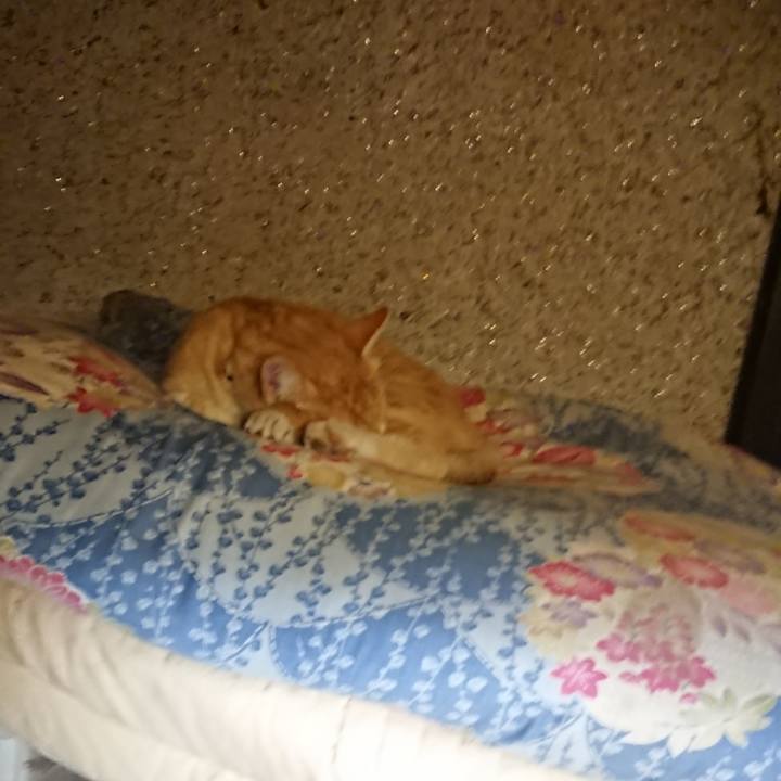 176bc93d f0fc 40fa 9f2b ea53d6008ab2 1592574976051