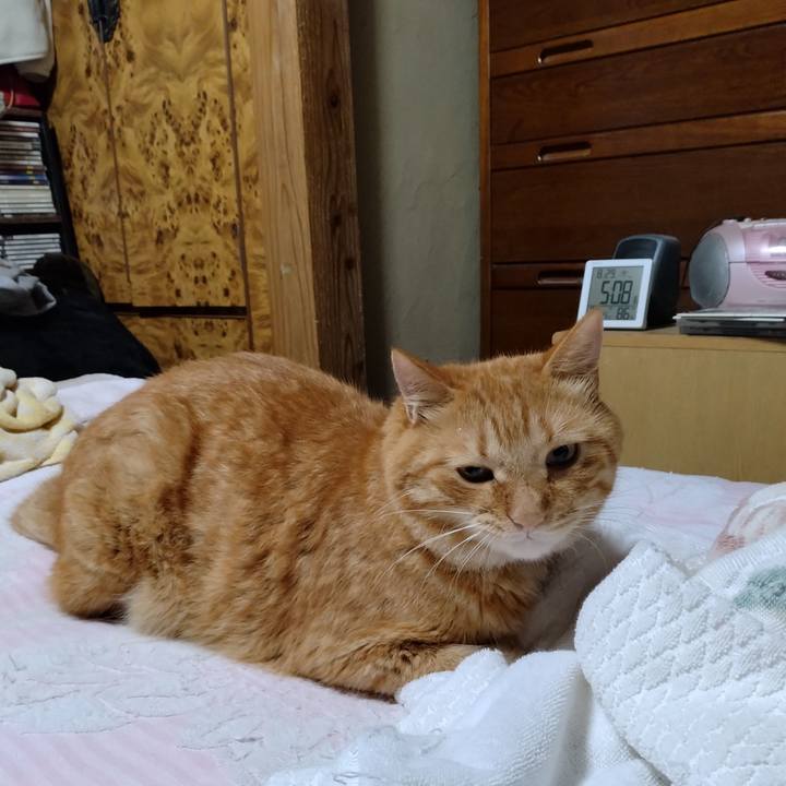 176c538f 312c 492c 9118 fc698726fa51 1724882932881