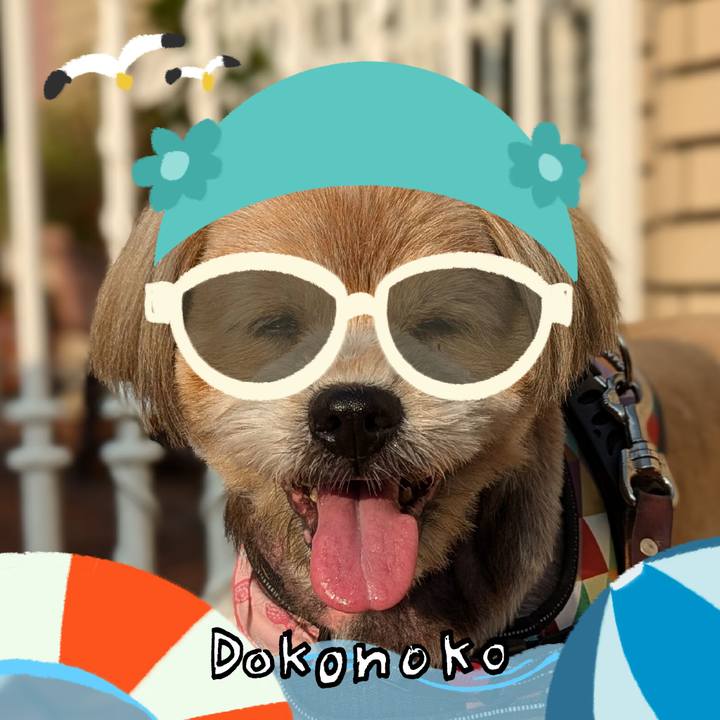 176c893e e278 4c39 b01f c7e0f1b27833 1723281661104