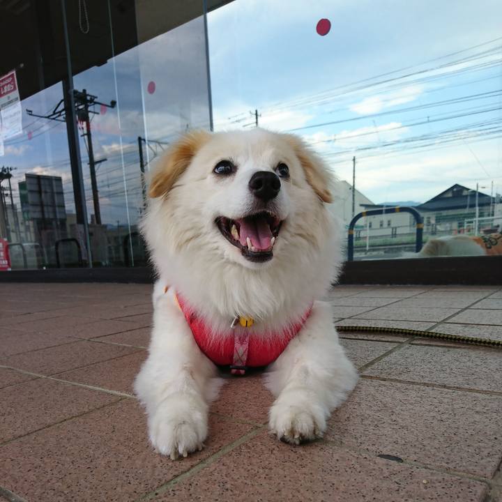 176cb700 f2bc 4473 b4a4 4e18119b9528 1531779055349