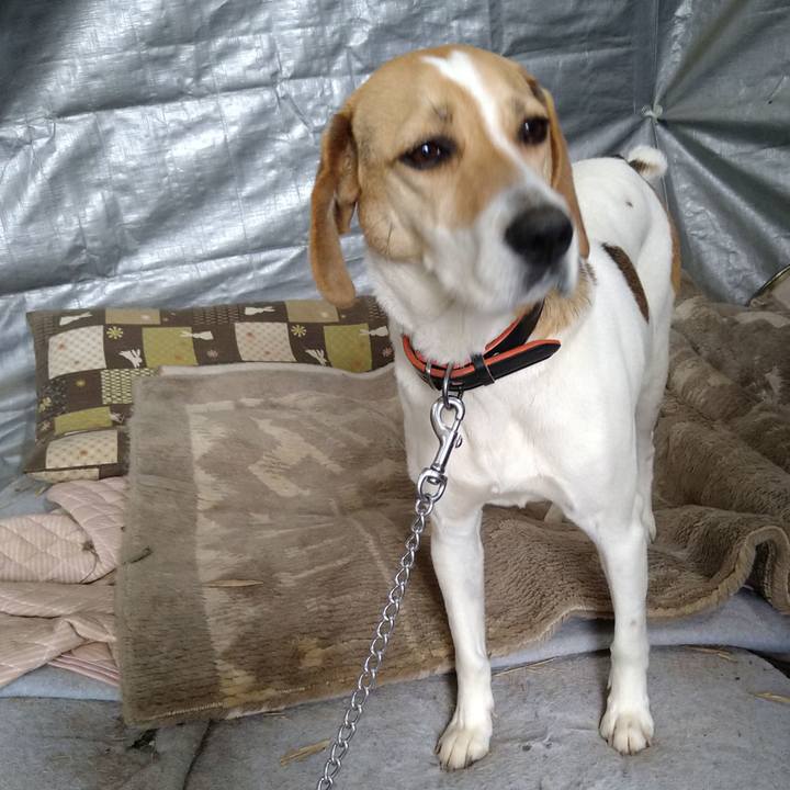 176cd25d e475 4c82 bf30 8820c94f51d5 1621942888659