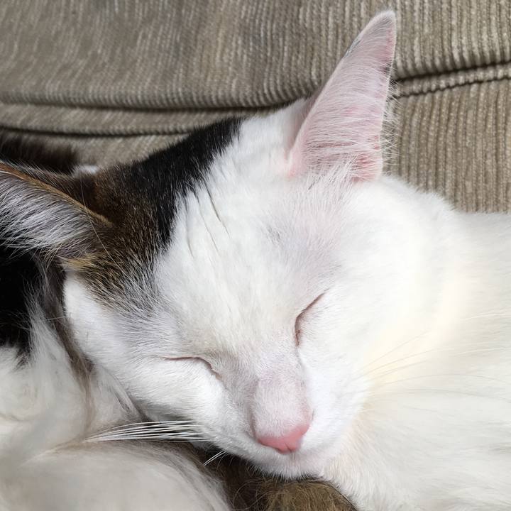 176cecc1 41f8 48a1 88a3 daad8b988944 1526101881784