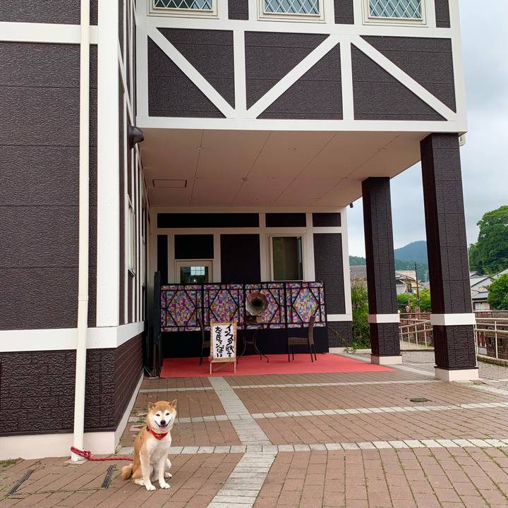 176d0c4d 3627 42c2 b718 26949eca5f92 1624870763946