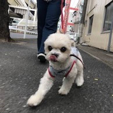 176d228e 7720 4ce1 99b3 f36961082f87 1512044214853