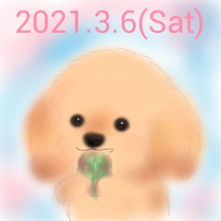 176d3736 4c23 4300 af76 67cfa1c3fbc8 1615033458795
