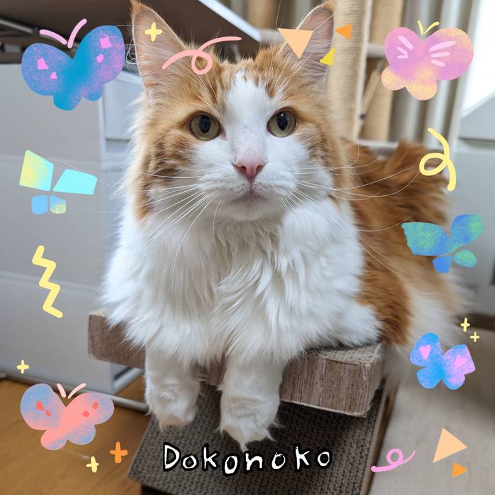 176d56de e55e 4134 8bc1 b9e20d132242 1710989663657