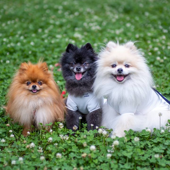 176d5ae8 e88d 4f0d a32d 61de5b3880aa 1594250187516