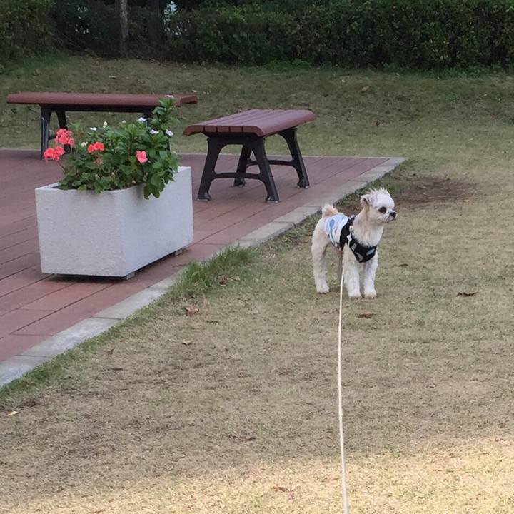 176d6079 29bb 4039 955c 36da80cf03a1 1542351809594