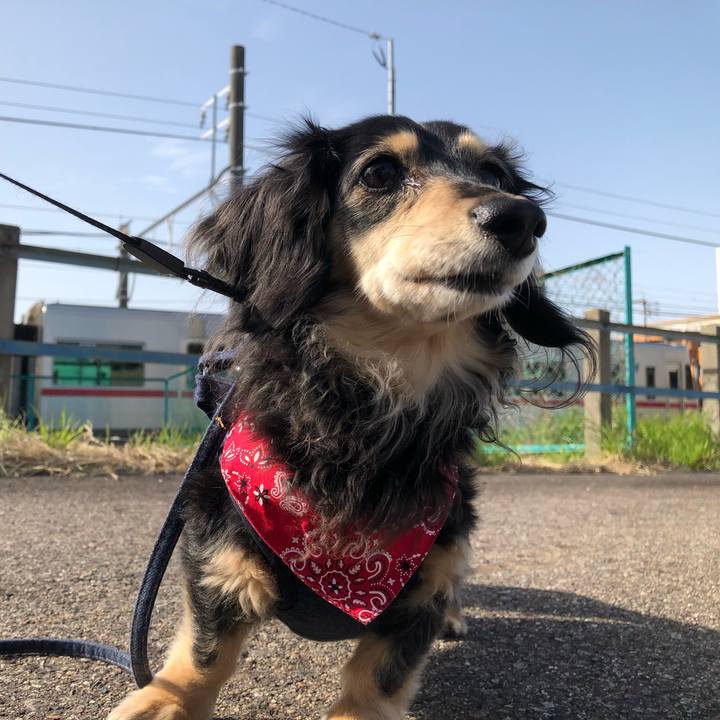 176d6731 a226 4ad7 9d03 ab4c1e6d1f8a 1616112255490