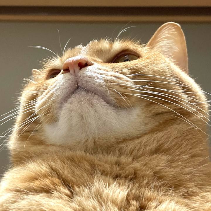 176d72d5 04d2 4be1 ab01 3dec48f29e3d 1775257809850