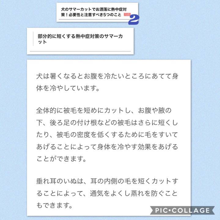 176d784d 832d 4892 a16d 1d21be4e4652 1531704055958