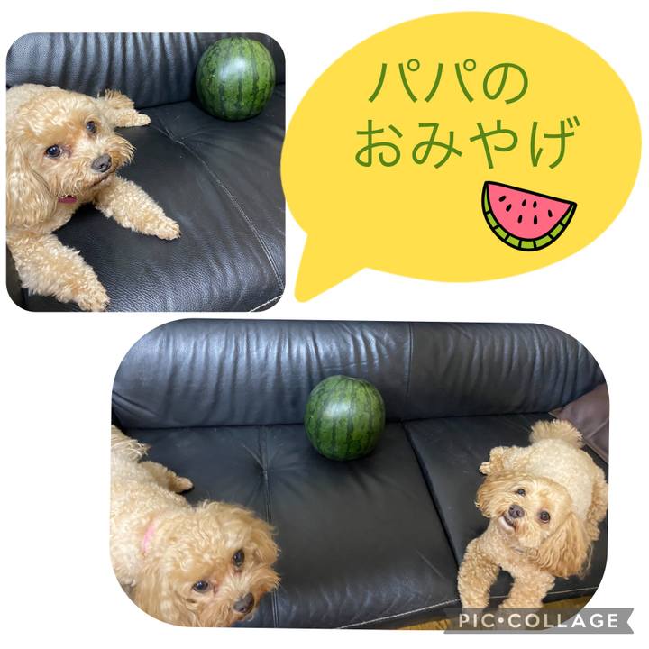 176d9d48 ab08 4fef 9ca6 ccea81341e50 1655495467106