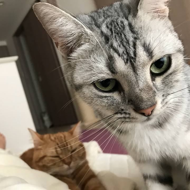 176da6cb 8a7a 4998 9df3 3e0620e415e6 1535155893993