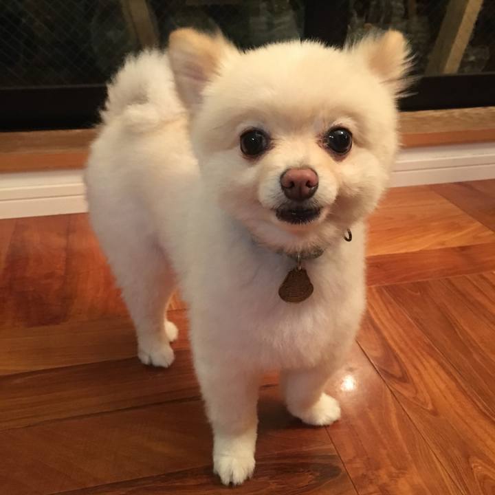 176db370 4da2 44d8 a28a c1f79df390ba 1562328746588