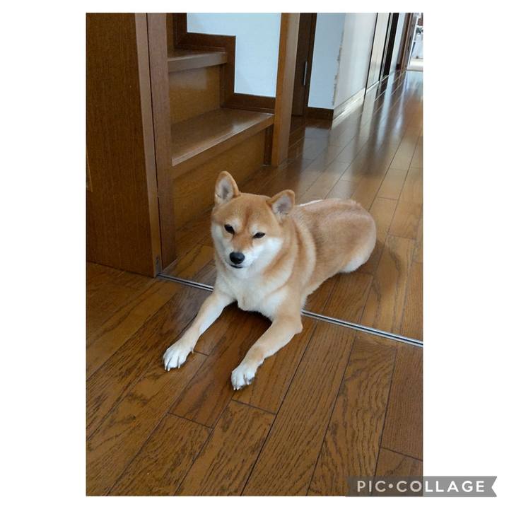 176db919 ef64 4adf a529 14b65706c291 1698381230847