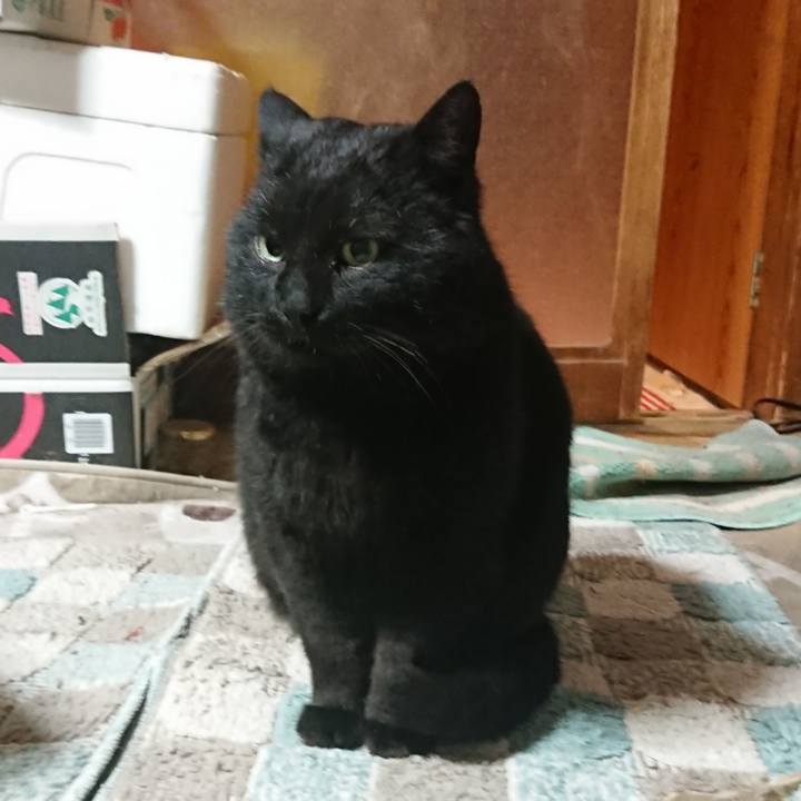 176dc0c3 3a0b 43b3 9916 d2be7ea44bc9 1646051434832