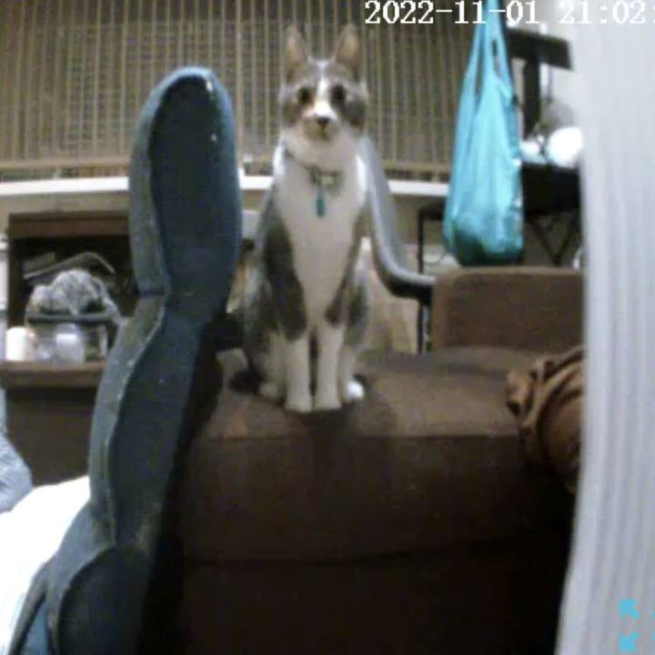 176dcd75 1484 4269 85f4 b127f06c2bba 1667304287005