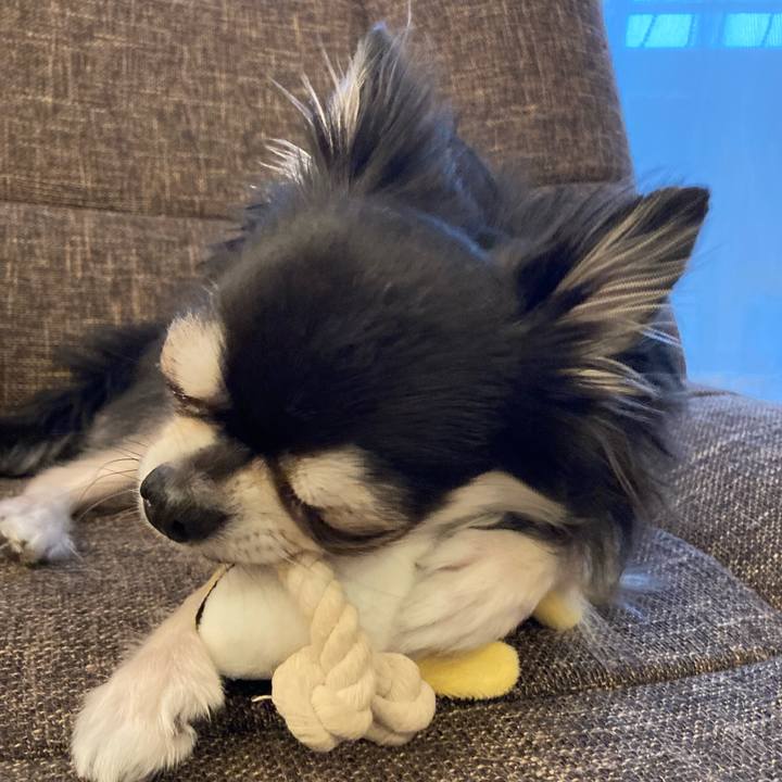 176de1d9 1ea5 4265 8b1d 6c7b605855ac 1705837691826