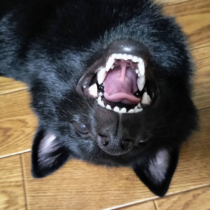 176de6ee 4443 4ba9 8011 ecf85db26730 1755036605639