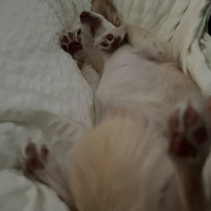 176e0a34 4968 43a0 a9d1 083ebaa5bb90 1727393540508