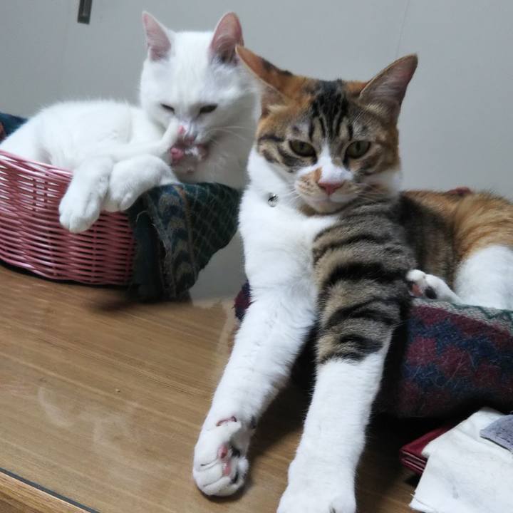 176e20bb 95e6 4a67 bf44 07697bae33f7 1643460567537