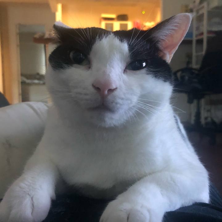 176e3809 49cd 4452 8f16 33aeb3afb1cf 1538050661851