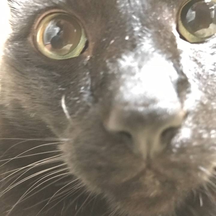 176e6c13 e7d5 4480 b272 8ebff078cfaf 1523063748859