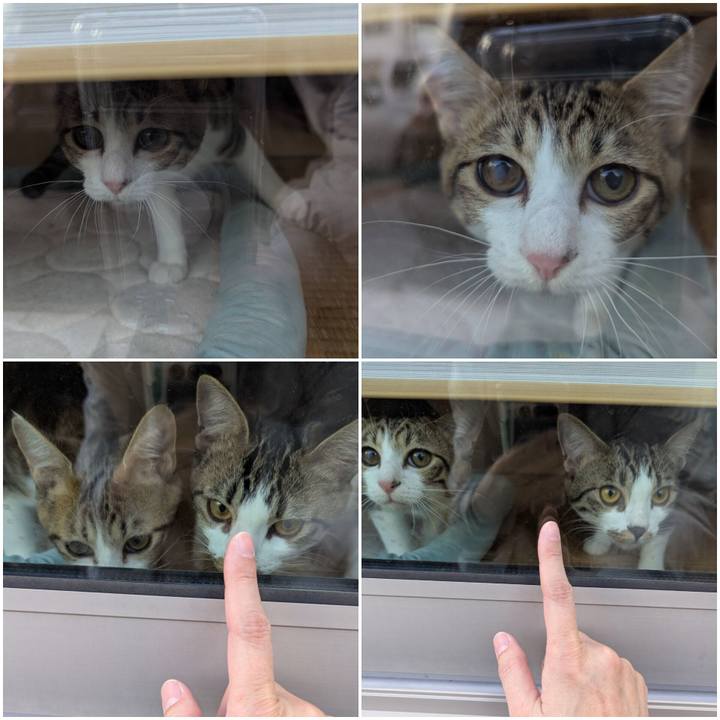 176e6fd2 8daa 465f a81d 6e4c8e73f0db 1735292956418