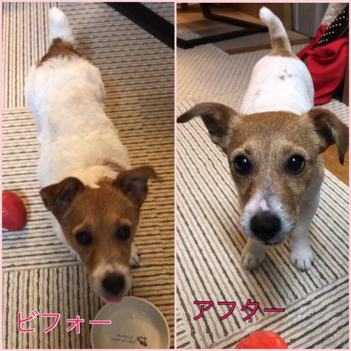 176ea890 9af1 43c6 be26 167623be925a 1556727620297