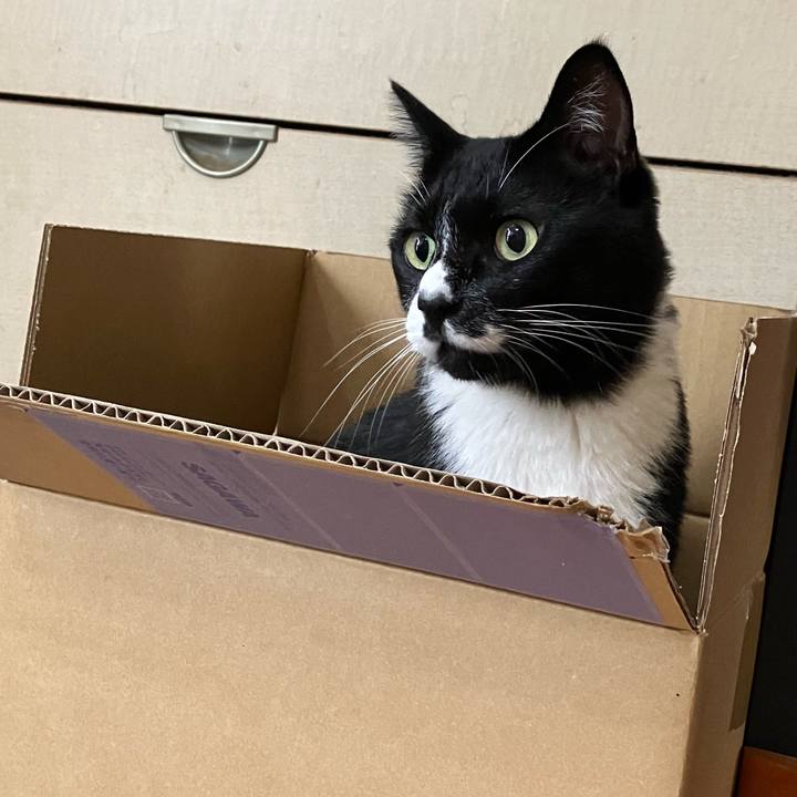 176ec573 267b 4d66 82f5 31533d2d5da6 1697600272957