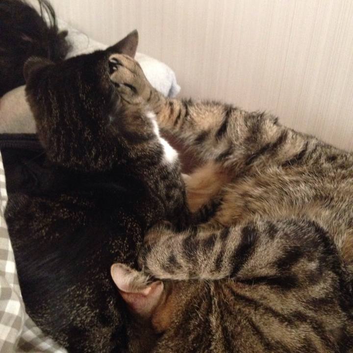 176edc58 4689 49b1 9bd2 8427faafe994 1511684794678