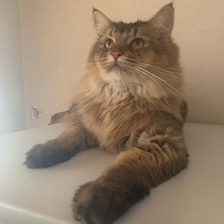 176ee781 0b14 40c6 a171 2063f4b6fee8 1756785022856