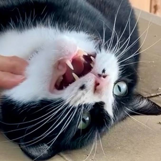 176f3a18 0ced 4e16 b05a f8fe83ea2744 1733021121565